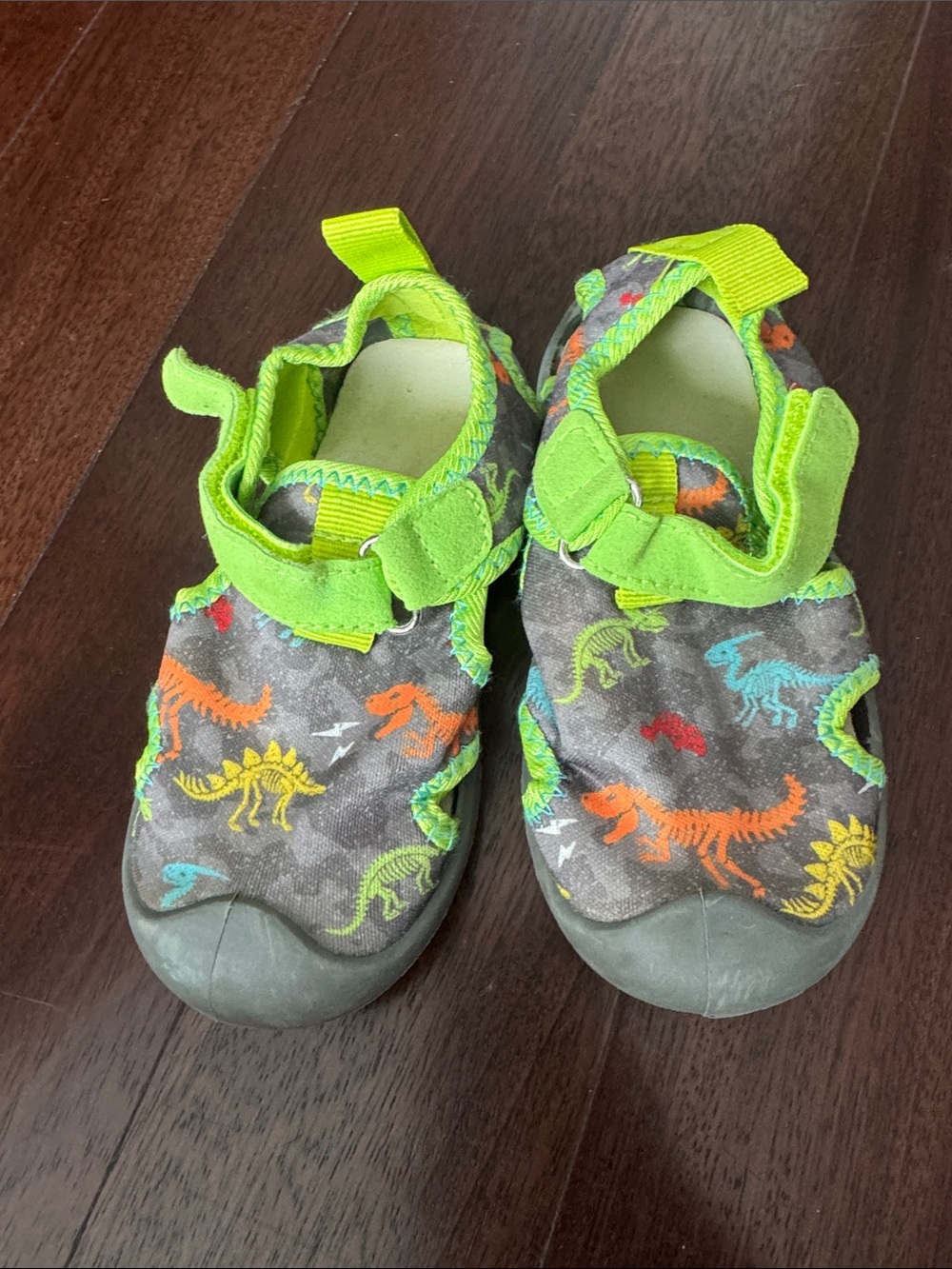Robeez Gray Water Shoes with Neon Green Trim and Multicolor Dinosaur Print